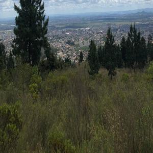 柳菁菁菁萃的图片100张最新
